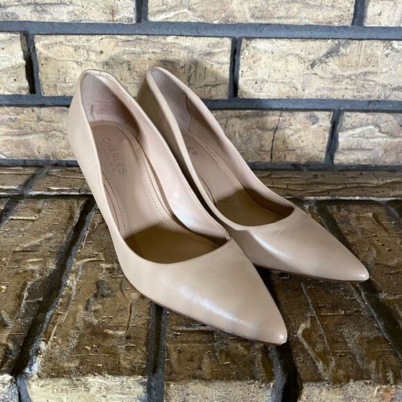 Charles nude point toe pumps - Picture 1 of 6